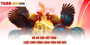 Đá Gà Cựa Sắt TG88 - Luật Chơi Cùng Cách Theo Dõi Kèo